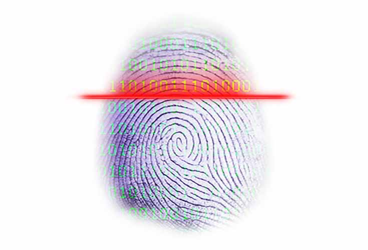 identity